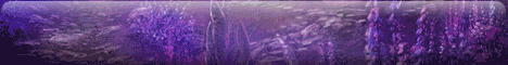 Aion Cheats